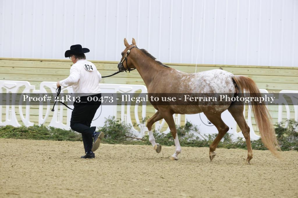 Proof 24R13_00473