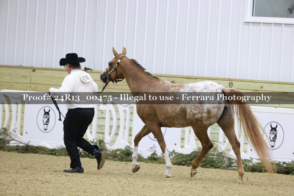 Proof 24R13_00475