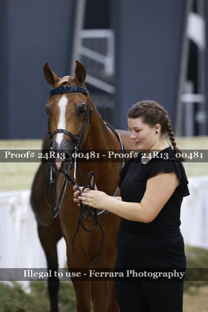 Proof 24R13_00481