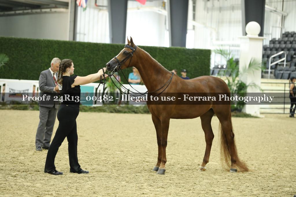 Proof 24R13_00482