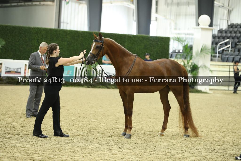 Proof 24R13_00484