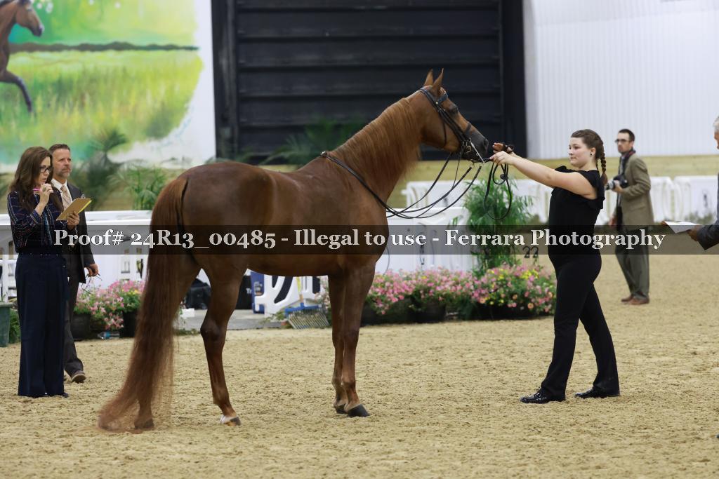 Proof 24R13_00485