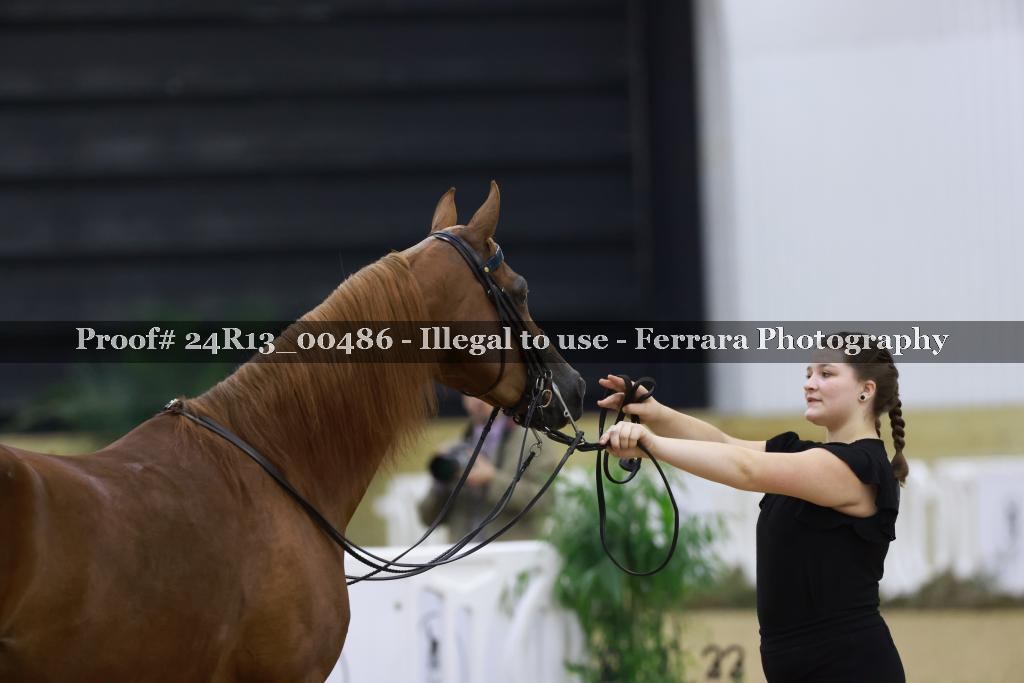 Proof 24R13_00486