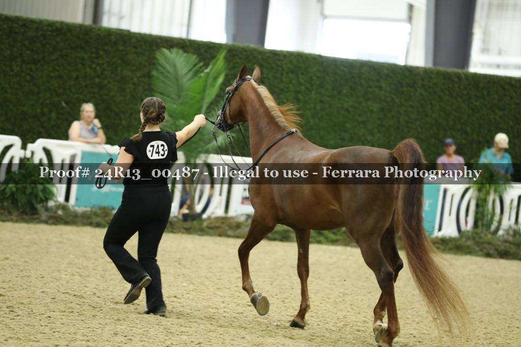 Proof 24R13_00487