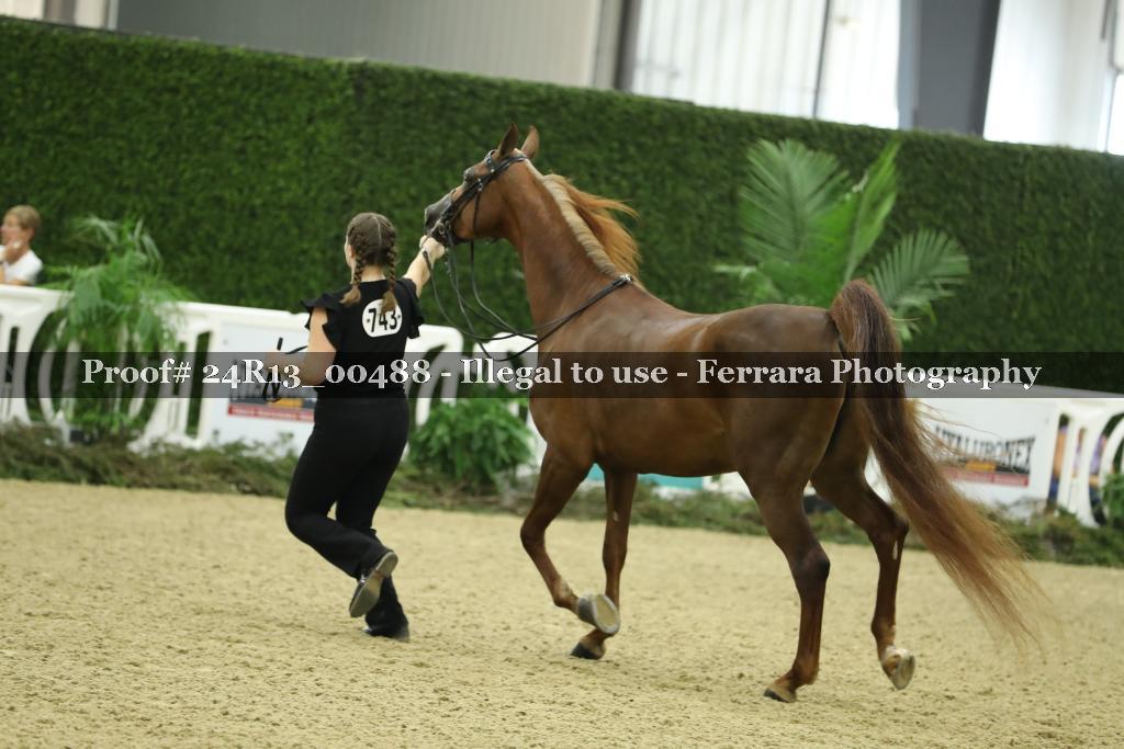 Proof 24R13_00488
