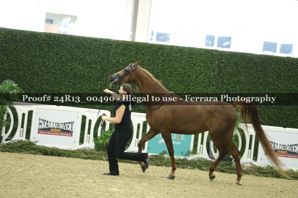 Proof 24R13_00490