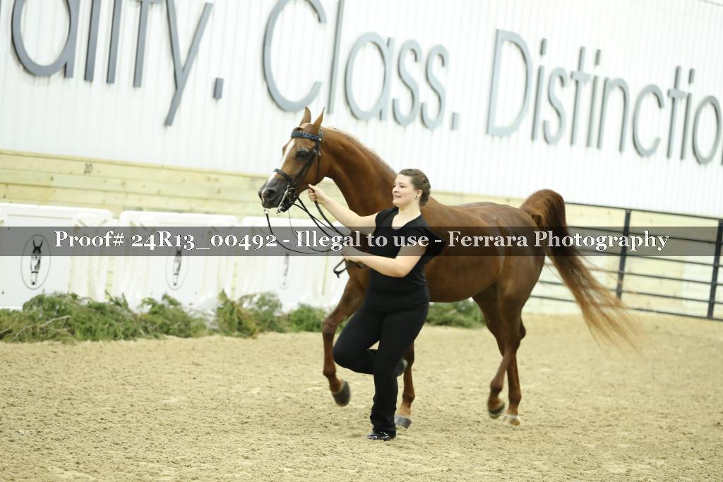 Proof 24R13_00492