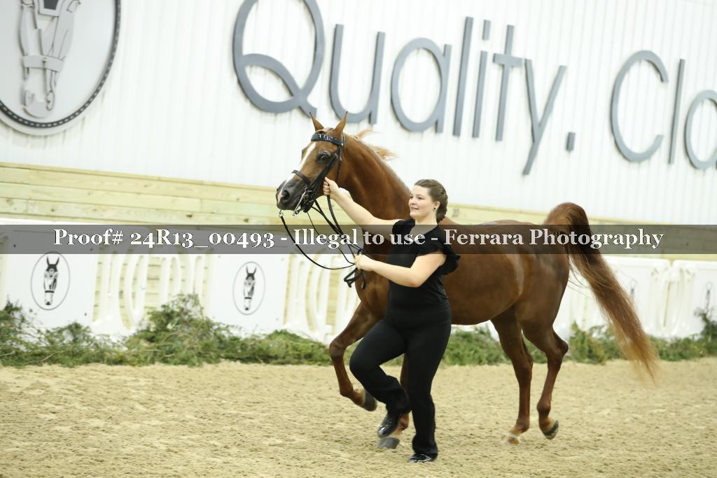 Proof 24R13_00493