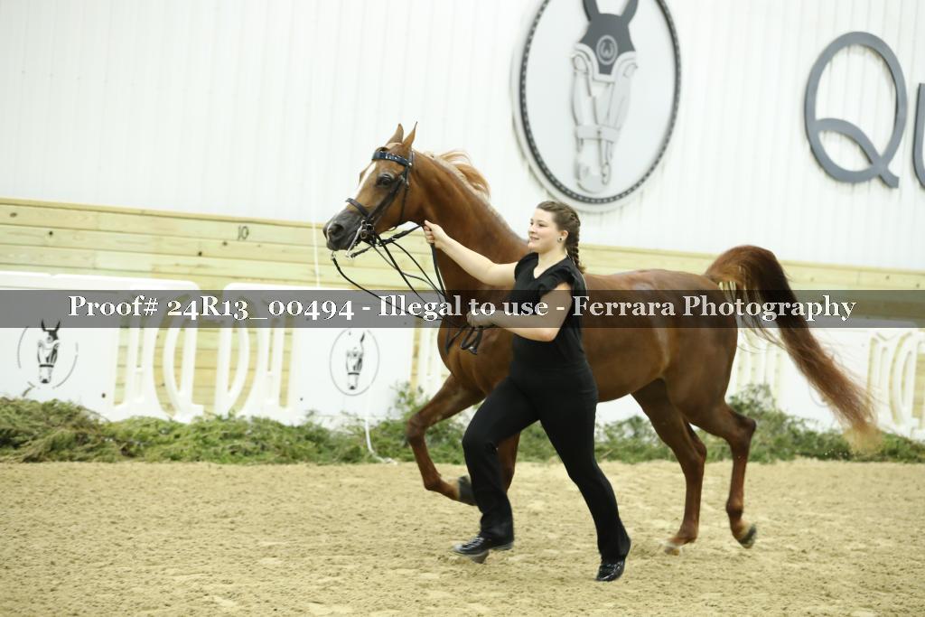 Proof 24R13_00494