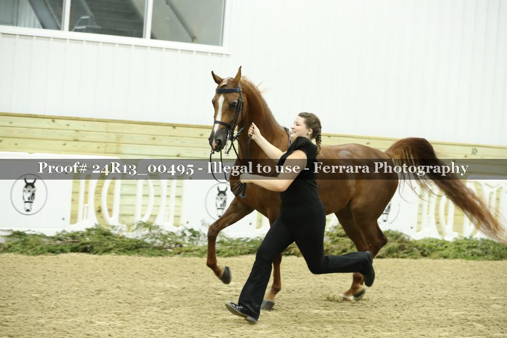 Proof 24R13_00495
