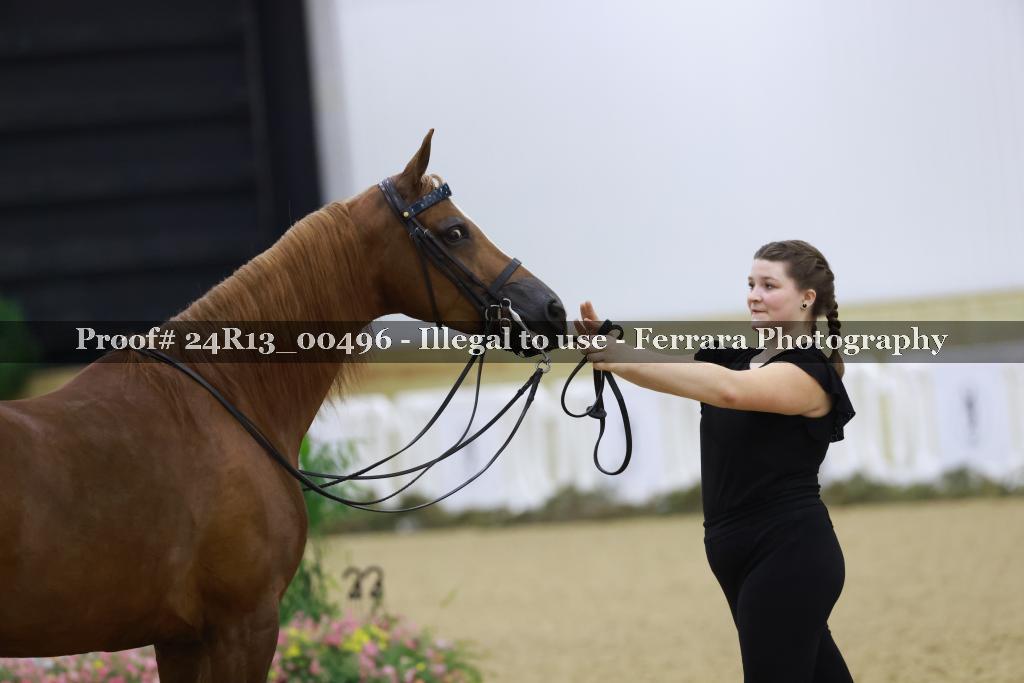 Proof 24R13_00496