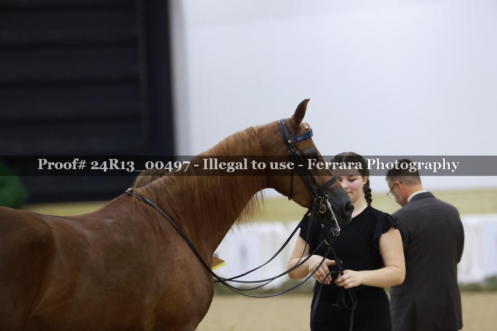 Proof 24R13_00497