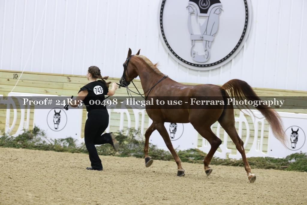 Proof 24R13_00498