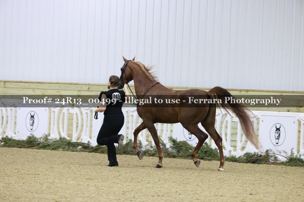 Proof 24R13_00499