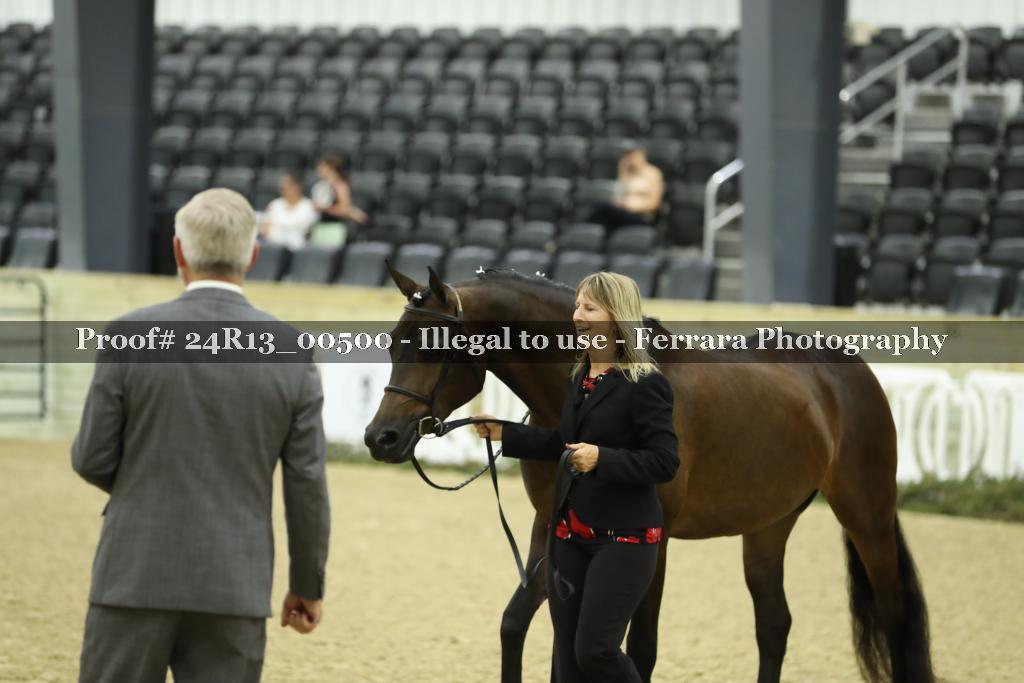 Proof 24R13_00500