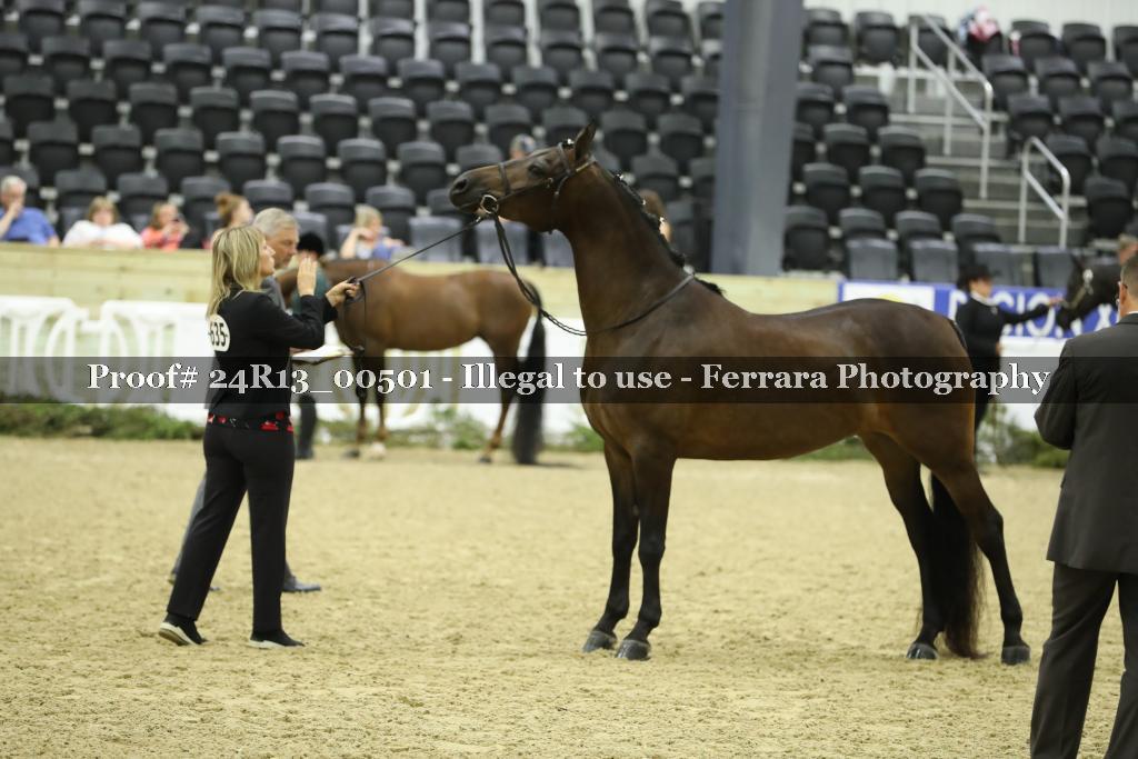 Proof 24R13_00501