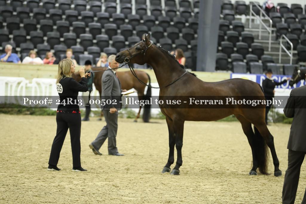 Proof 24R13_00502