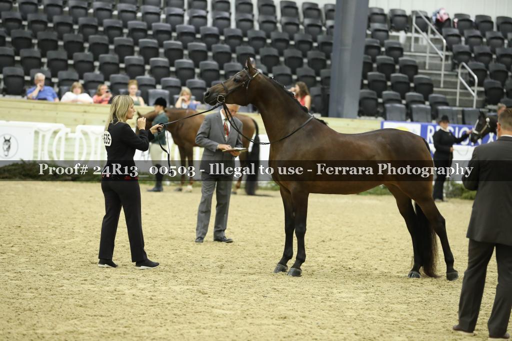 Proof 24R13_00503