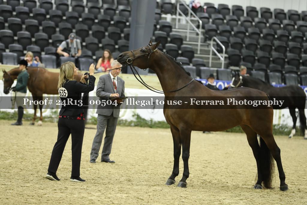 Proof 24R13_00504