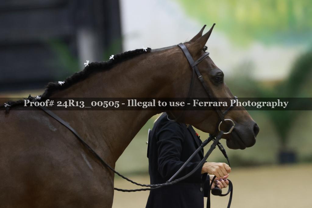 Proof 24R13_00505