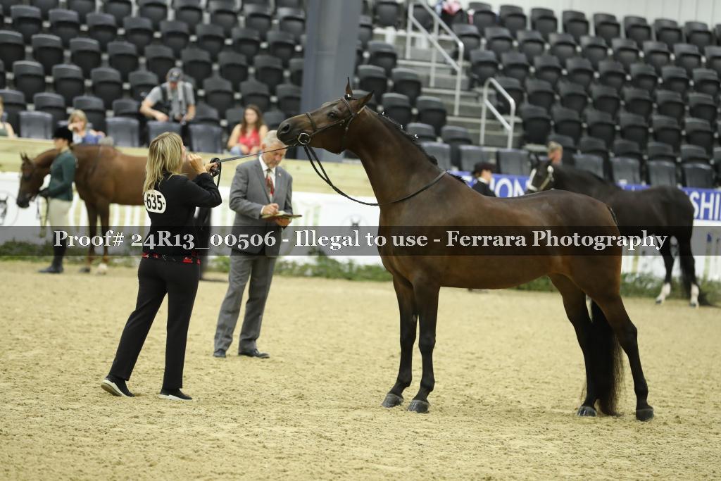 Proof 24R13_00506