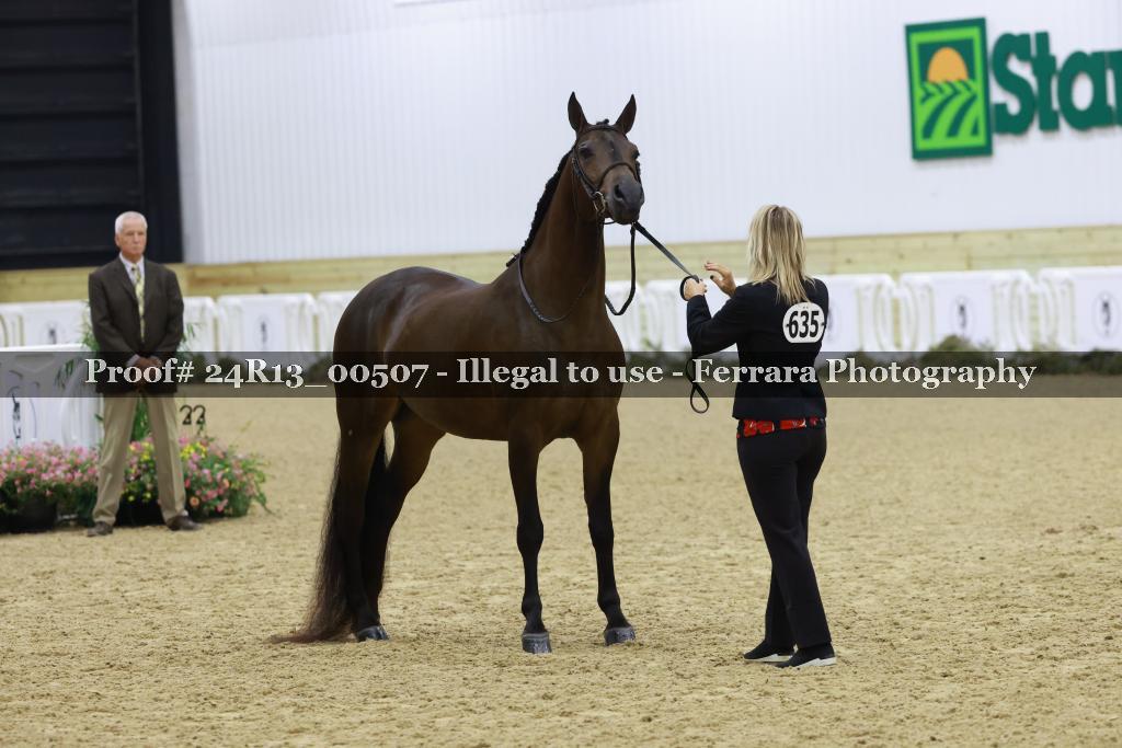 Proof 24R13_00507