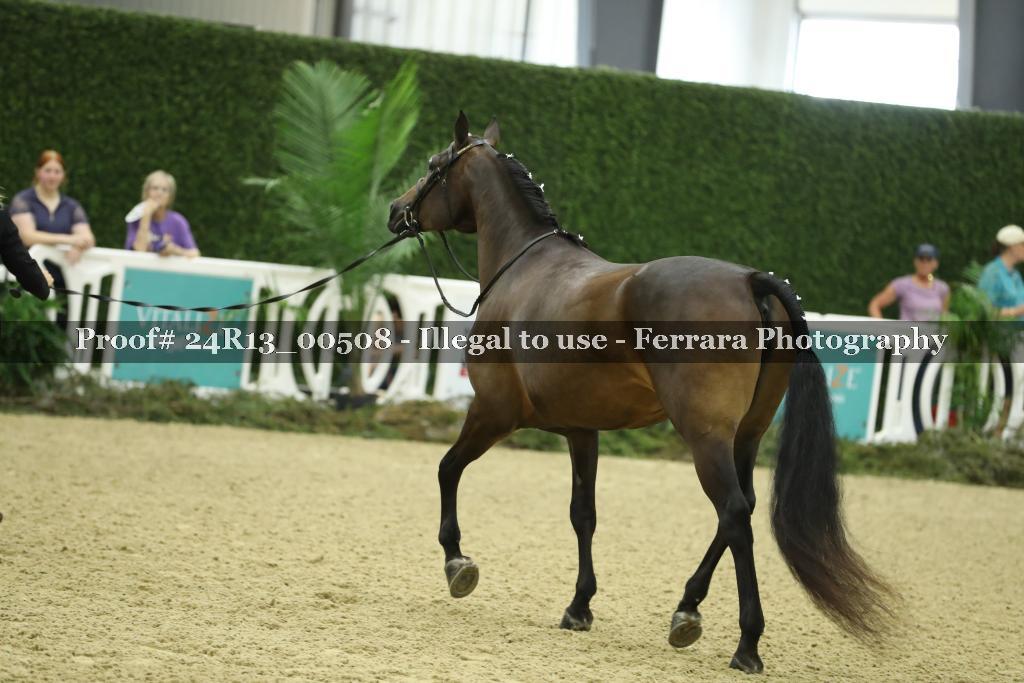 Proof 24R13_00508