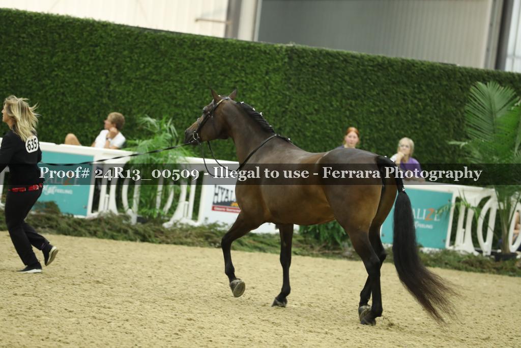 Proof 24R13_00509