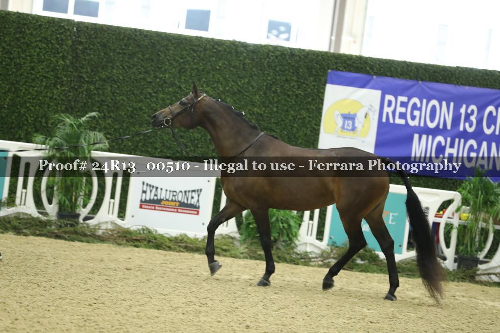 Proof 24R13_00510