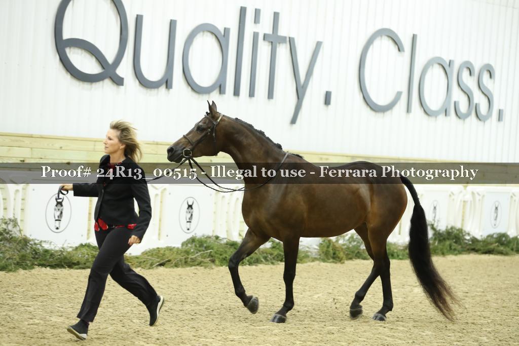 Proof 24R13_00515