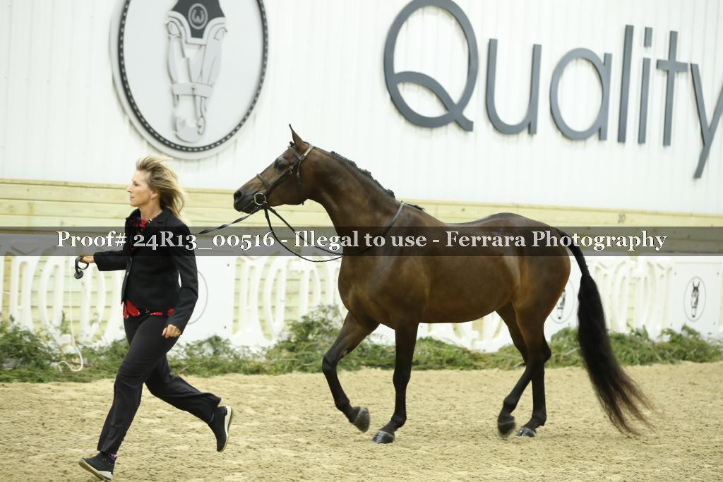 Proof 24R13_00516