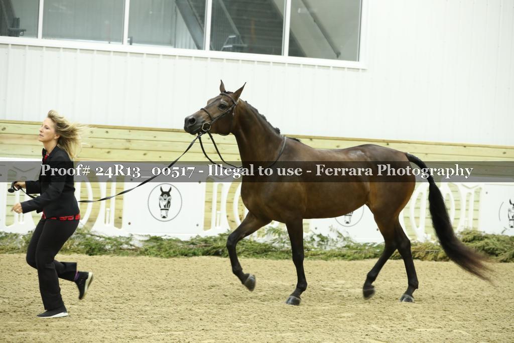 Proof 24R13_00517