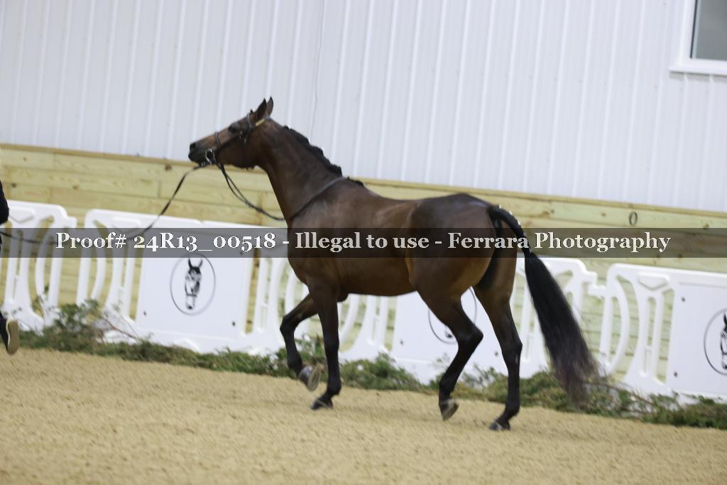 Proof 24R13_00518
