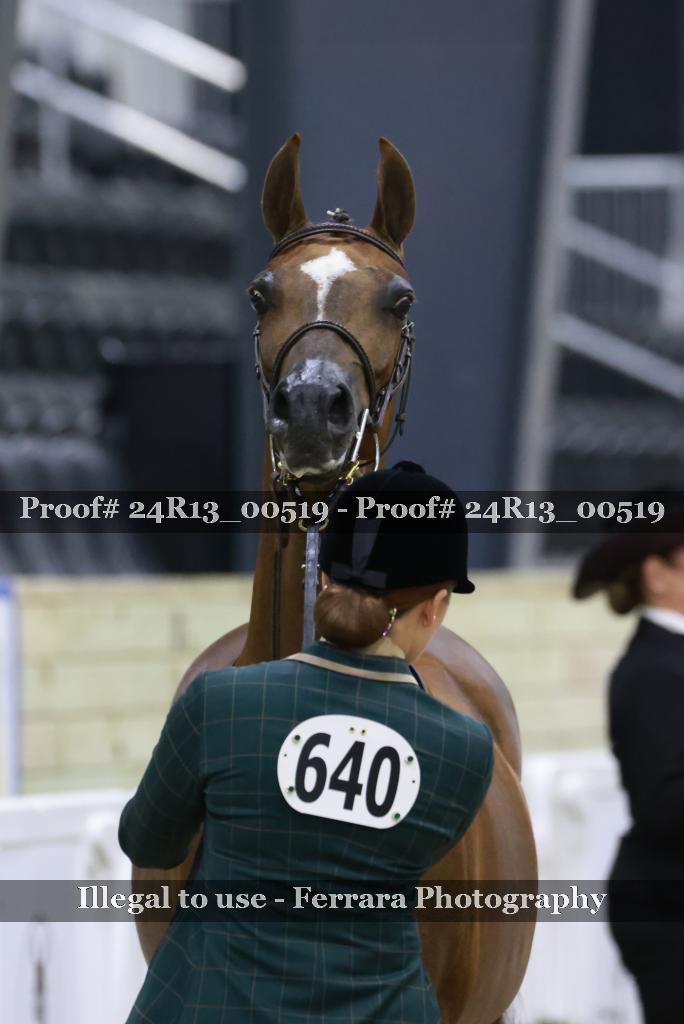 Proof 24R13_00519