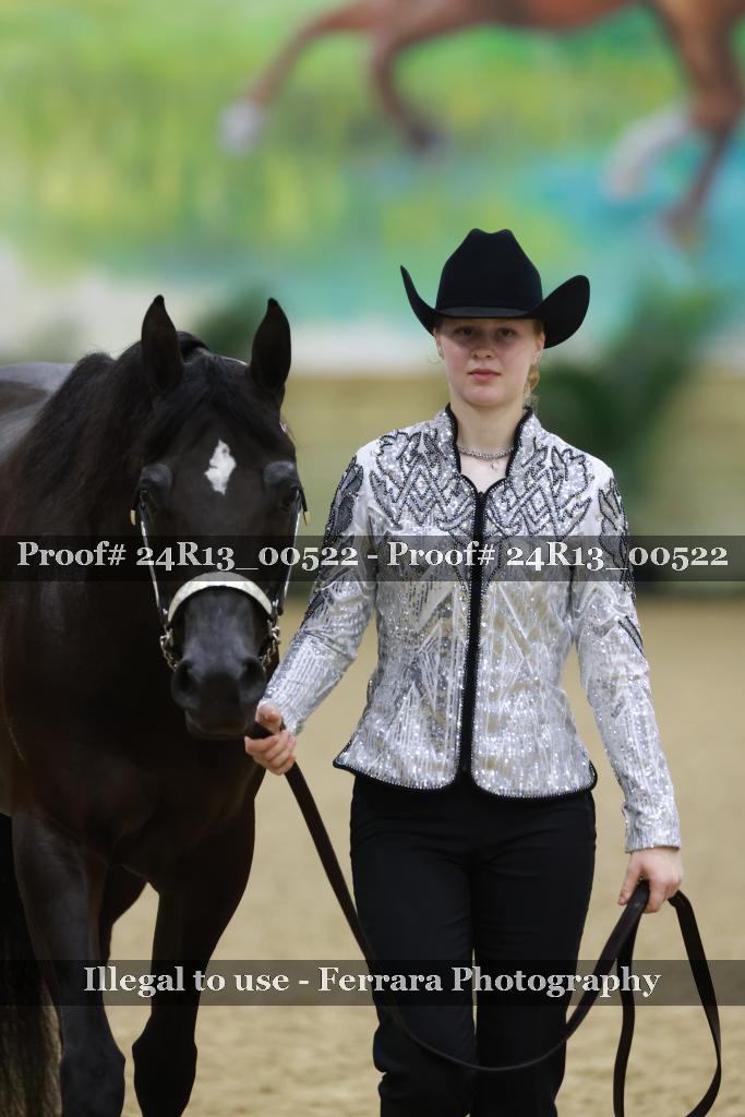 Proof 24R13_00522