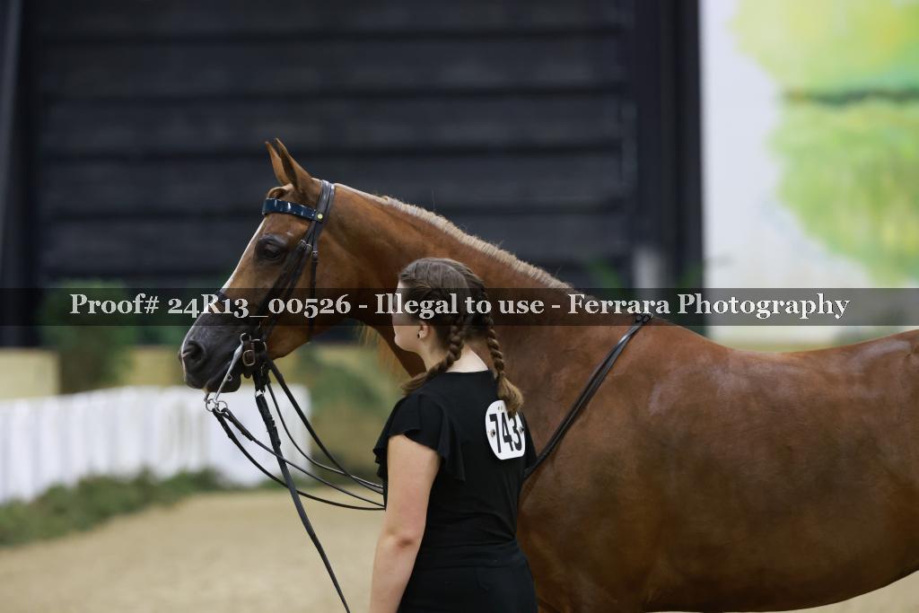 Proof 24R13_00526