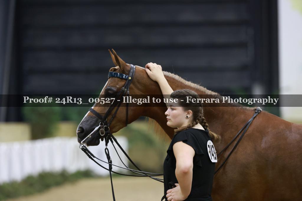 Proof 24R13_00527
