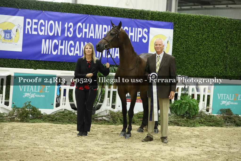Proof 24R13_00529