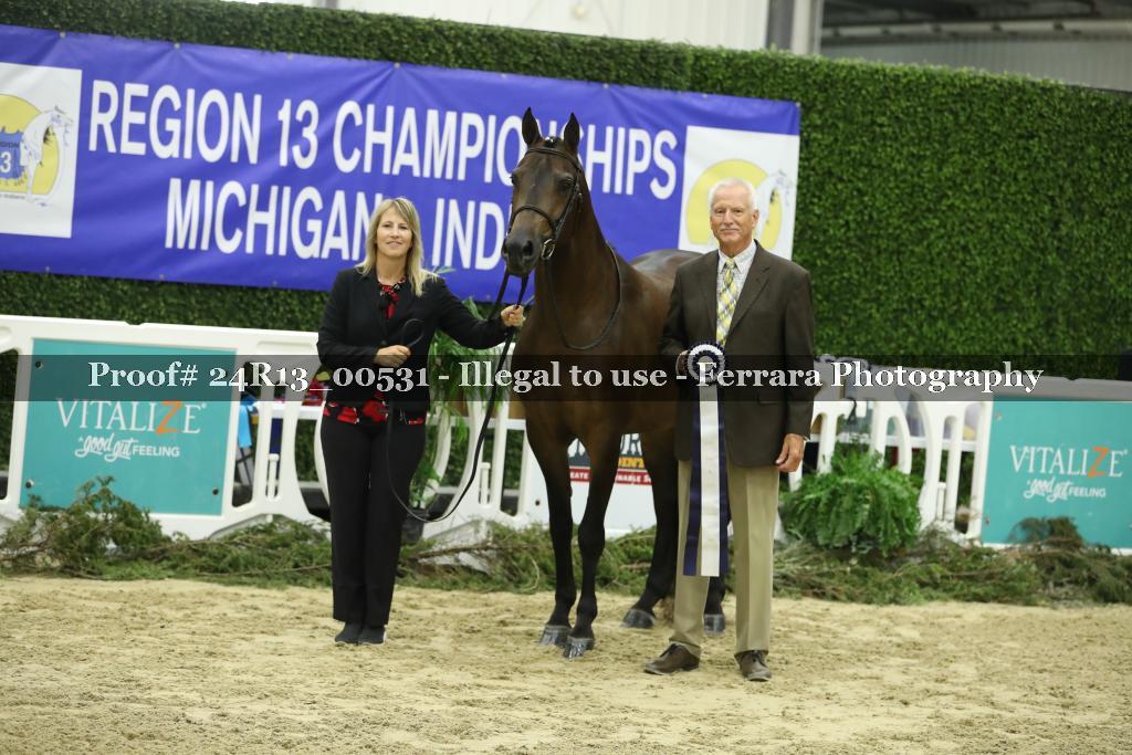 Proof 24R13_00531