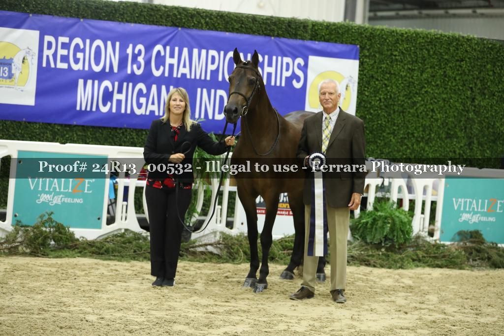 Proof 24R13_00532