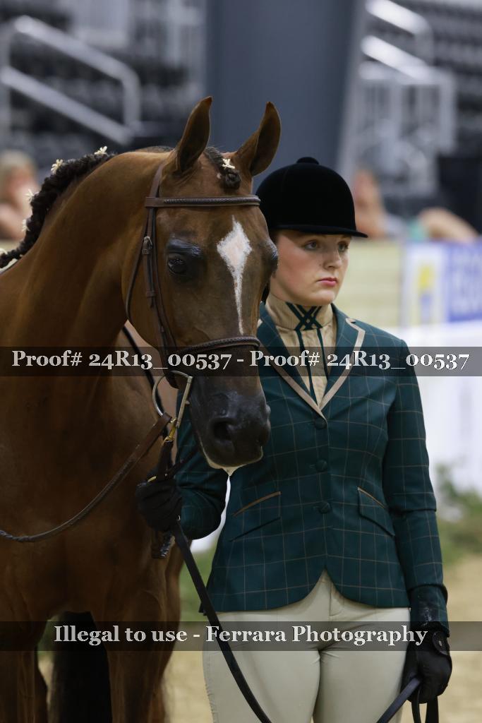 Proof 24R13_00537