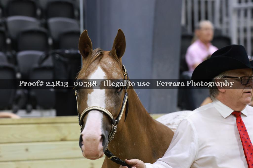 Proof 24R13_00538