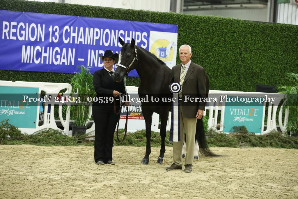 Proof 24R13_00539