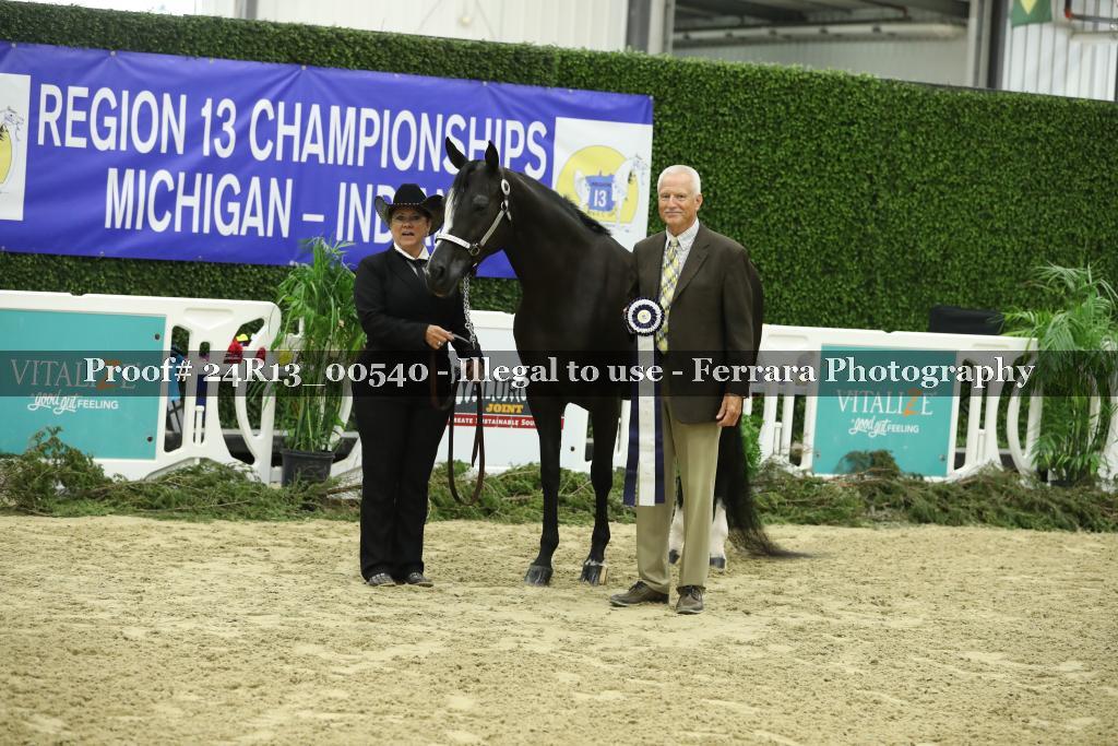 Proof 24R13_00540