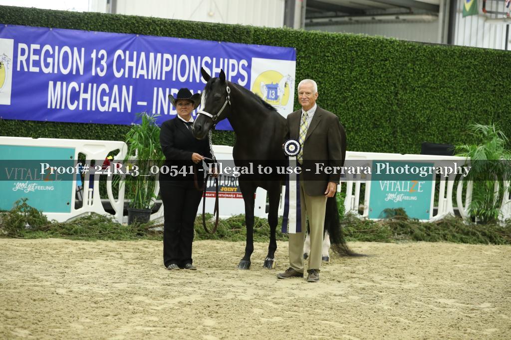 Proof 24R13_00541