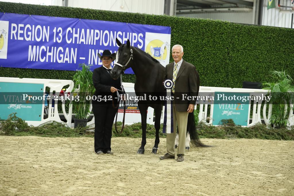 Proof 24R13_00542