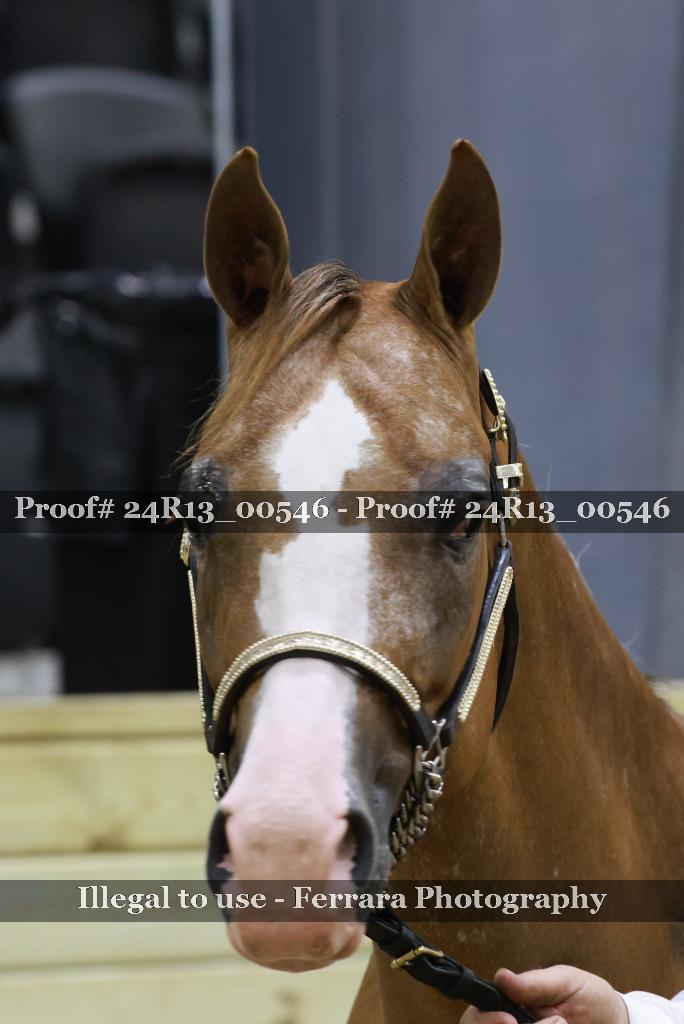 Proof 24R13_00546