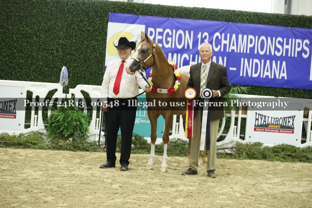 Proof 24R13_00548