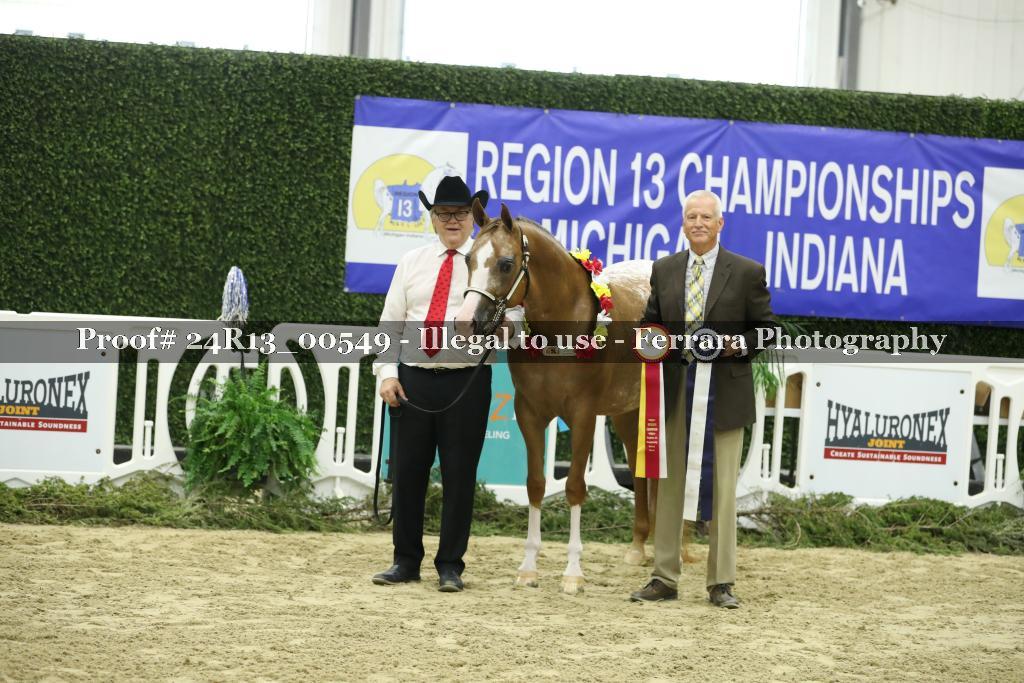 Proof 24R13_00549