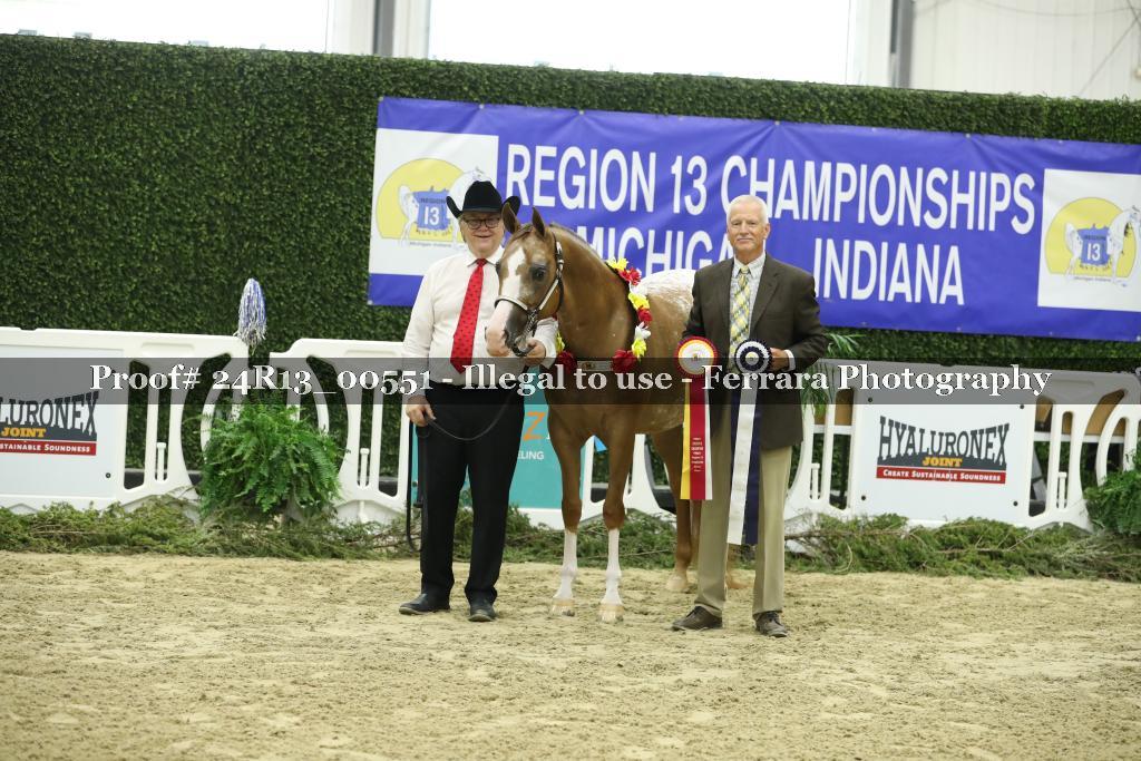 Proof 24R13_00551